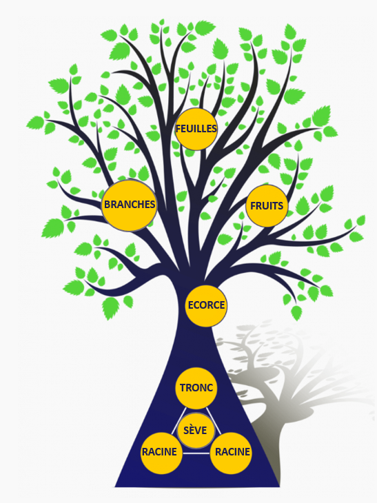 arbre de numérologie 